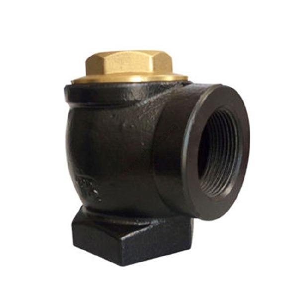 Fuel-dispensor-check-valve-2